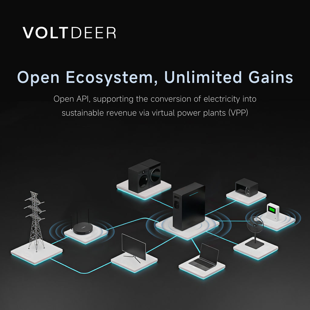 Voltdeer SR5000 AC Pro | 2.5kW, 5.12kWh | Pylontech LiFePO₄ met noodstroom